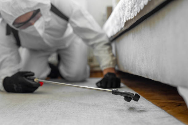 Professional Termite Control technician working in Tripoli, IA
