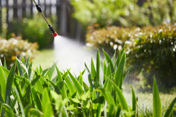 24/7 Emergency Termite Control experts in Tripoli, IA